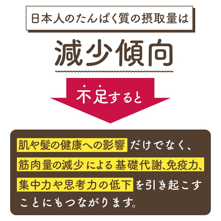【アウトレット半額】ソイプロテイン 黒糖きな粉 300g【賞味期限:2025年12月17日】