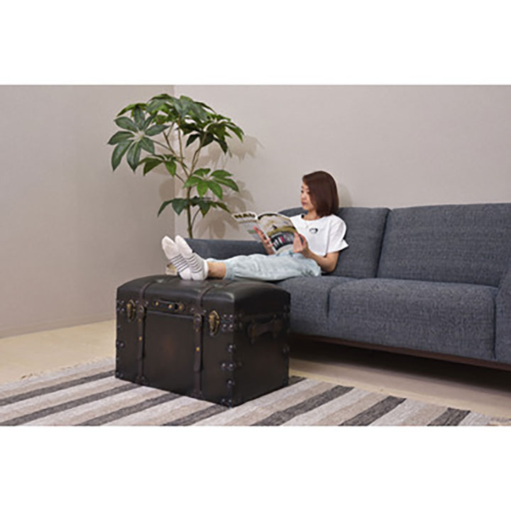 東谷 レオンスツール 大小 2点セット IW-876 IW-276