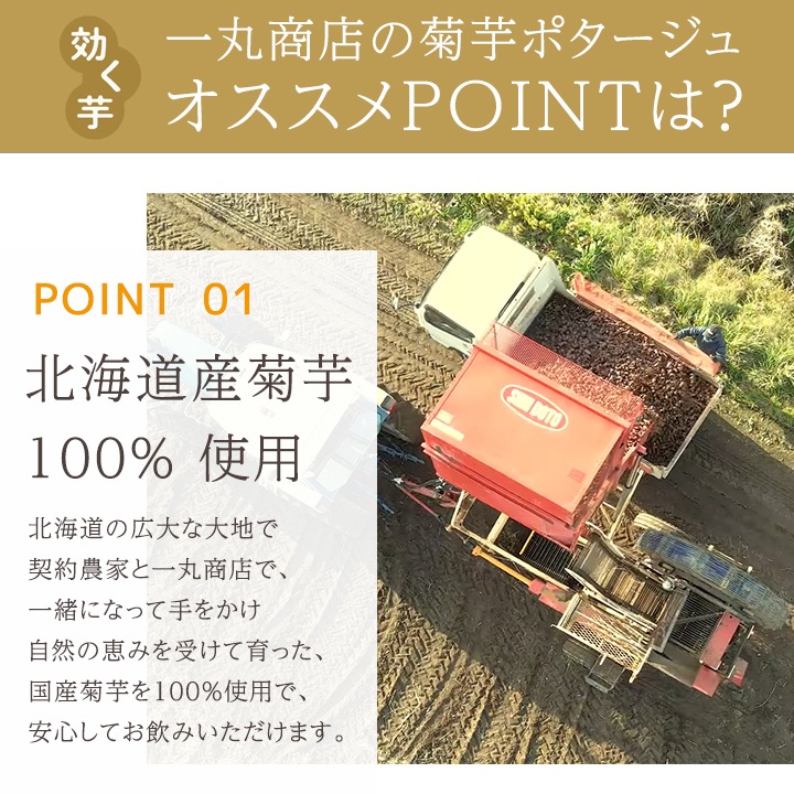 一丸商店 腸活KIKUIMOポタージュ 160g 1袋