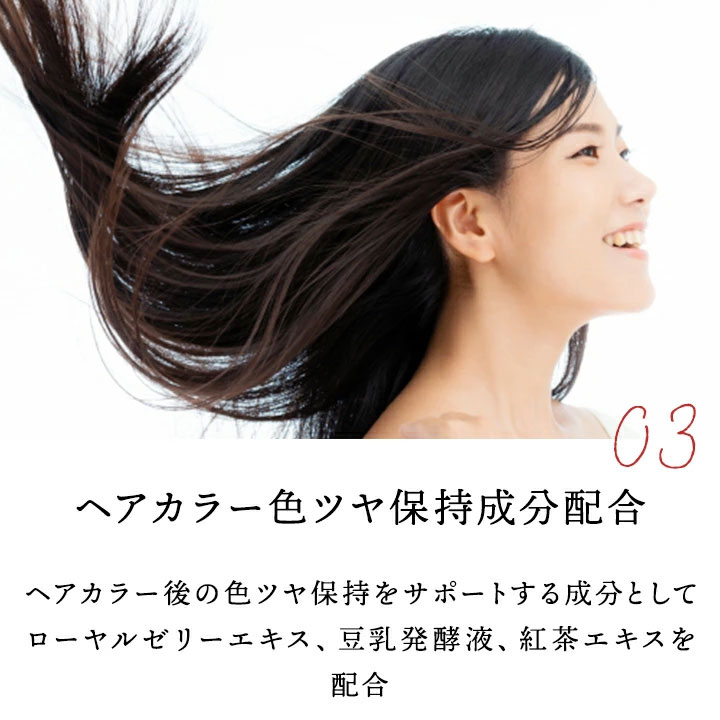 レイナチュラル ハニープラス モイストトリートメント 500ml 6個セット