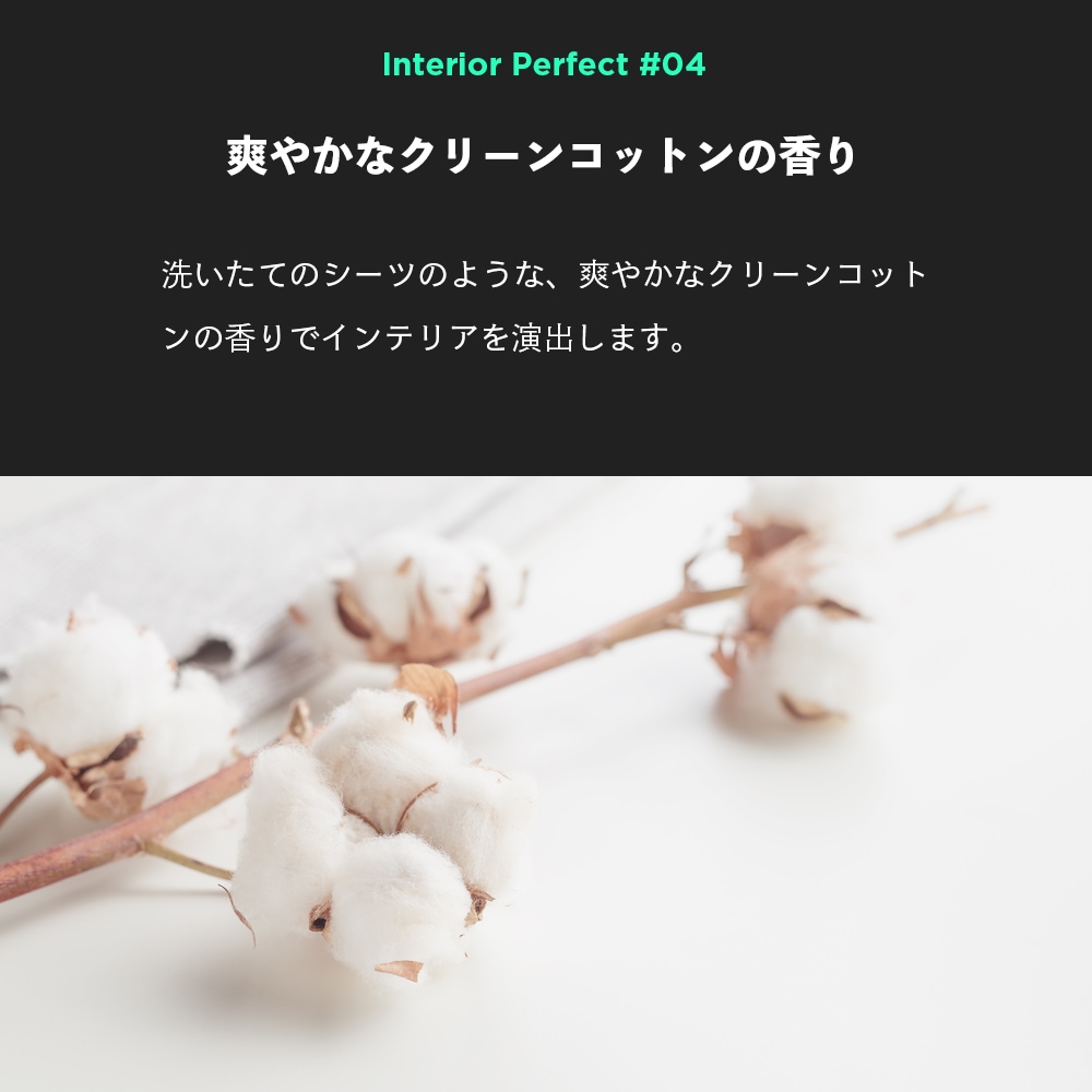 BLASK ブラスク No.8 INTERIOR PERFECT 500ml | GRANTZ ONE