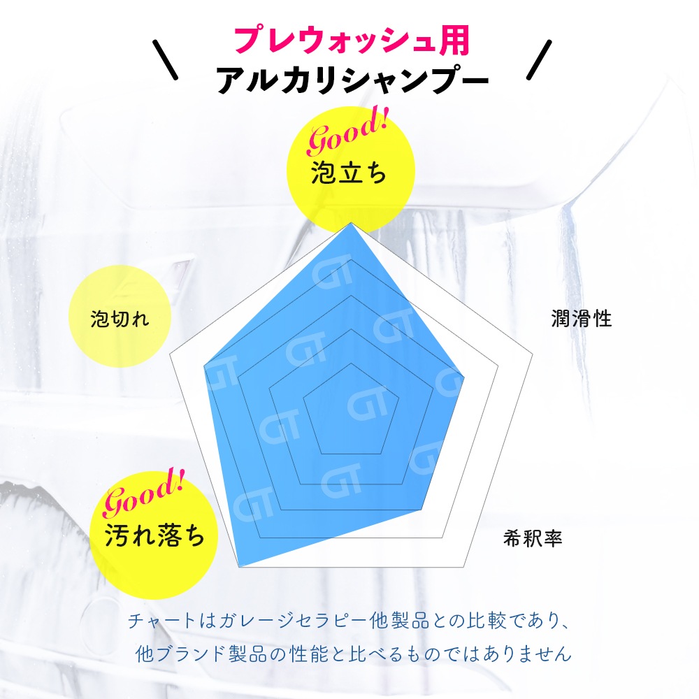 ガレージセラピー /ONE: スノーフォームV2 | GRANTZ ONE