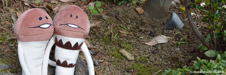 レアなめこぬいぐるみ つくしなめこ【nmk】 | すべての商品