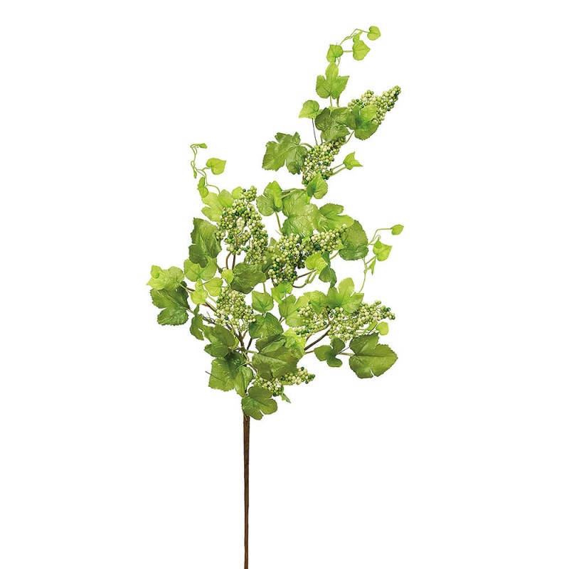 �٥꡼���ץ졼�����꡼��A-05930��¤�֡�