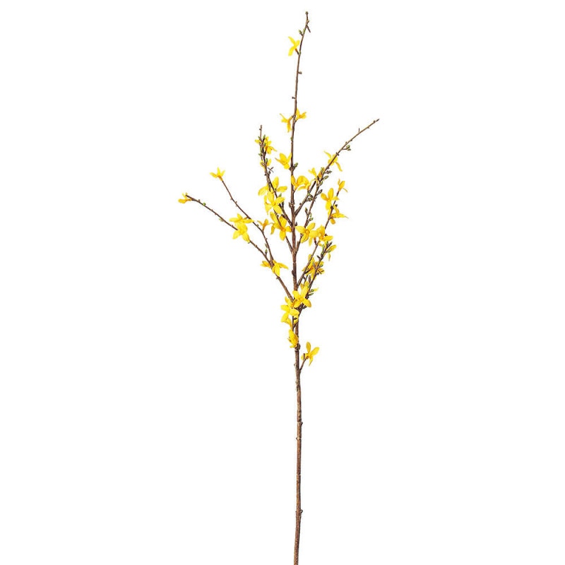 ��󥮥祦��45������������A-33544��¤�֡�