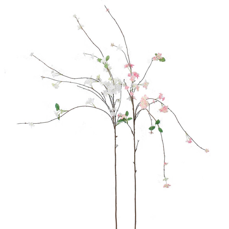 �����꡼�֥��å���֥�����57��A-33691��¤�֡�