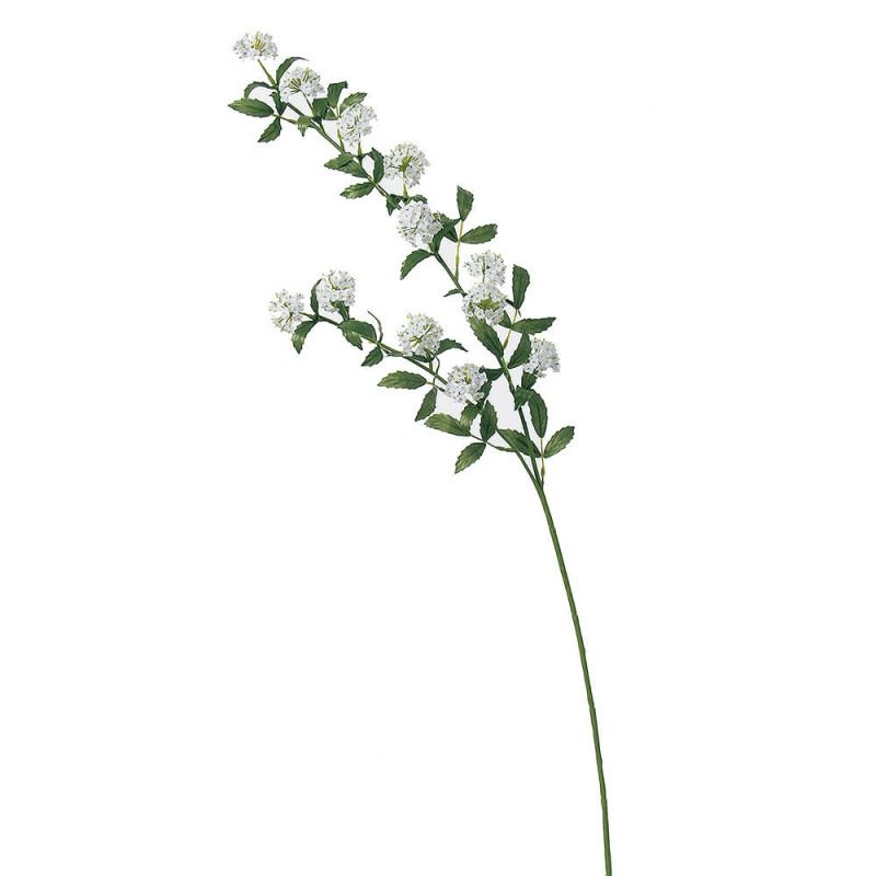 ���ǥޥ��12���ۥ磻�ȡ�A-31954��¤�֡�