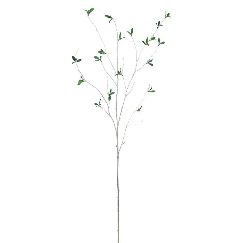 �ĥ��Х͡����꡼��A-43231��¤�֡�