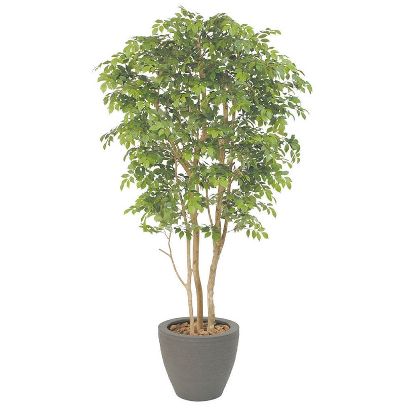 ޥȥͥꥳH1500ڥƥե