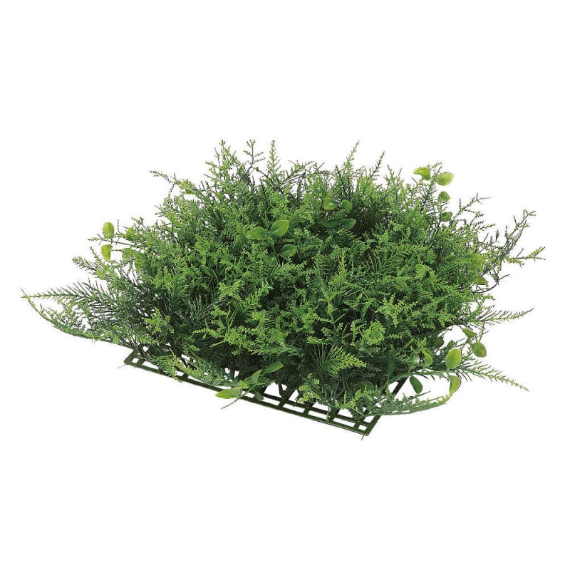 �롼�����ߥå����꡼�եޥåȡڥ����ƥ��ե�������