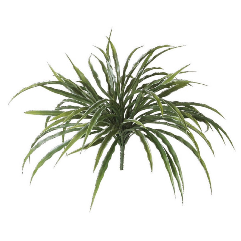 �Х˥�֥å���ʥۥ磻�ȡˡ�H300�ڥ����ƥ��ե�������