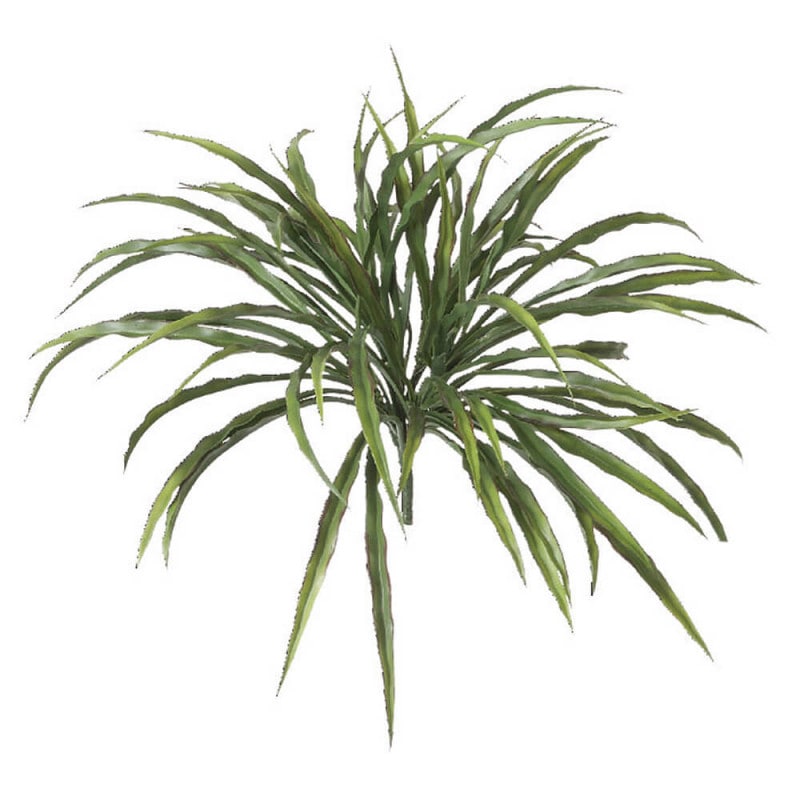 �Х˥�֥å���ʥ�åɡˡ�H300�ڥ����ƥ��ե�������