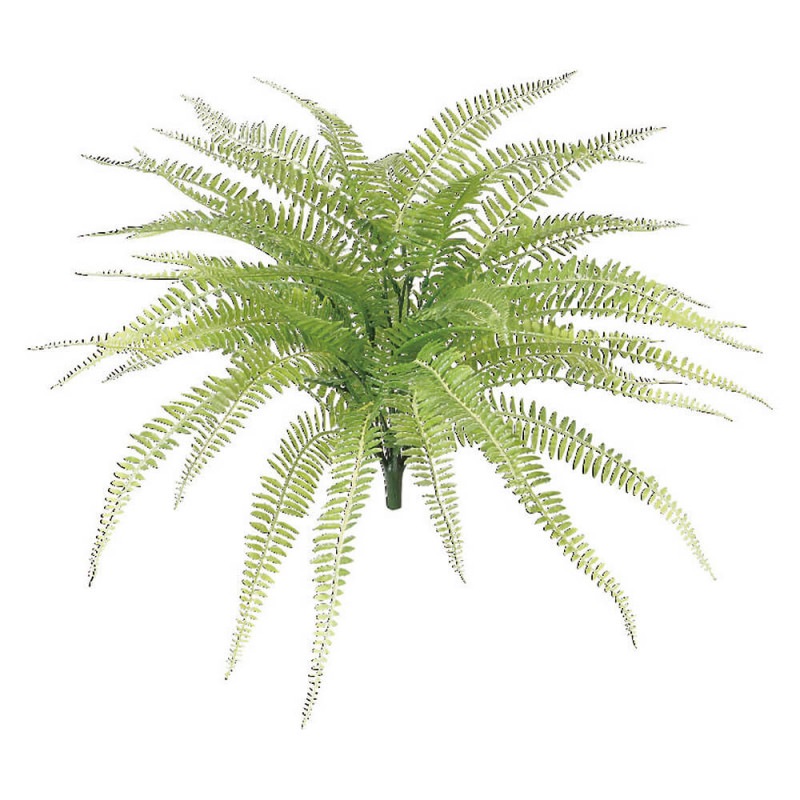 �ʥ����ܥ��ȥ�ե�����H350�ڥ����ƥ��ե�������