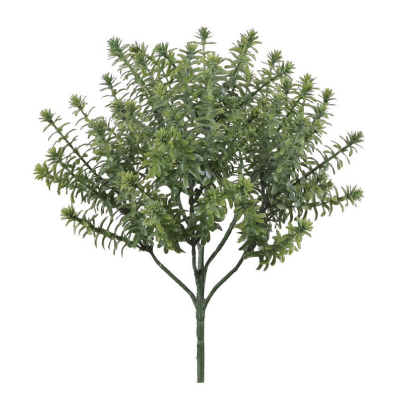 ���ʥ��ꥹ�֥å��塡H300�ڥ����ƥ��ե�������