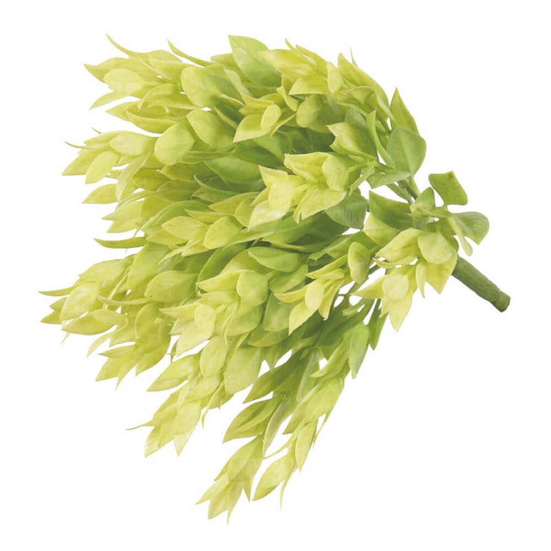 �ե졼��꡼�ե֥å��塡H250�ڥ����ƥ��ե�������