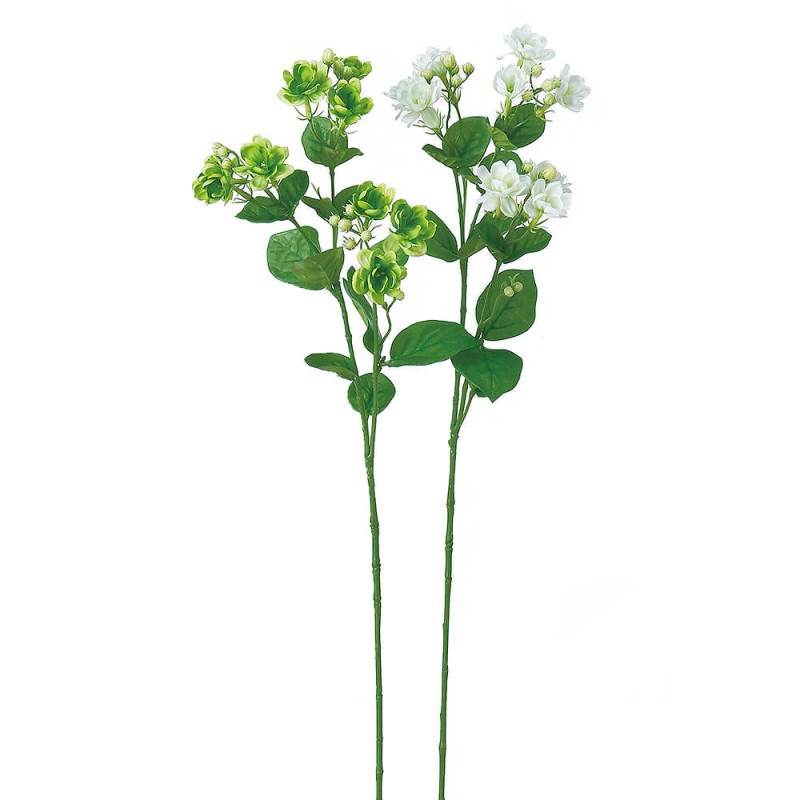 ���㥹�ߥ��9���Ĥܤߡ�19��A-39591��¤�֡�