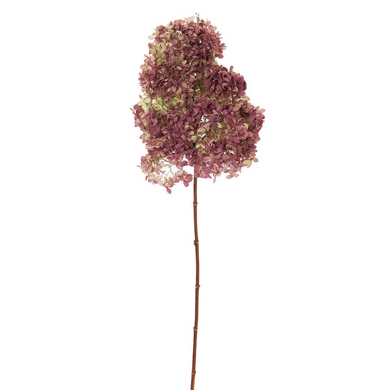 �ߥʥť��ʾ��ˡ��ʥ����롡DE017176�ڥɥ饤�ե���