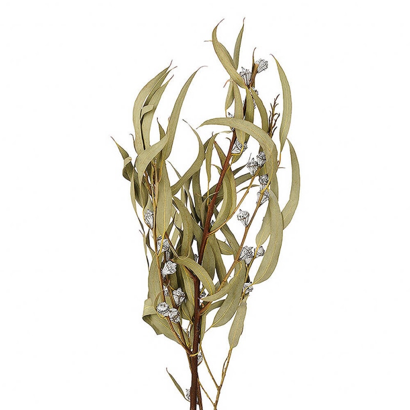 �桼���ꡦ�����ܥ饹�����ա��ʥ����롡DO040235-000�ڥɥ饤�ե���