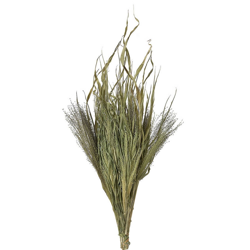 ���⡼�����饹��FD003118�ڥɥ饤�ե���