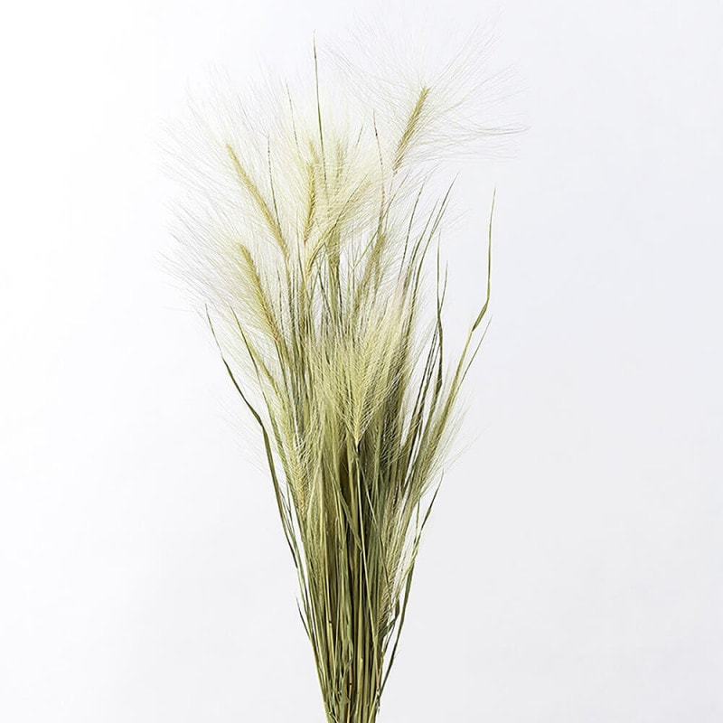 �ꥹ������FD003018�ڥɥ饤�ե���