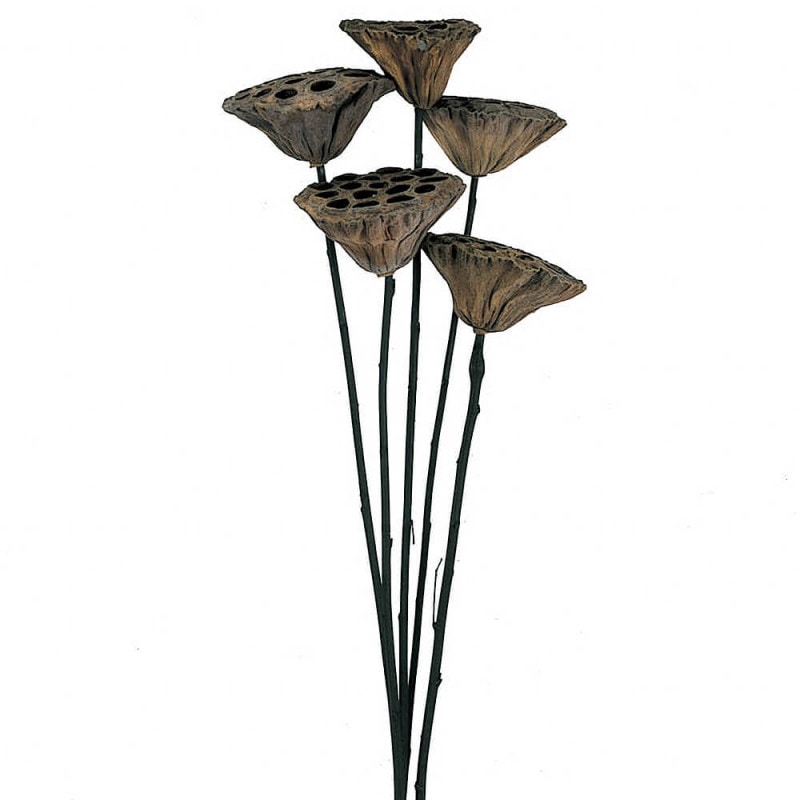 �ϥ����ʥ����롡DO050060-000�ڥɥ饤�ե���