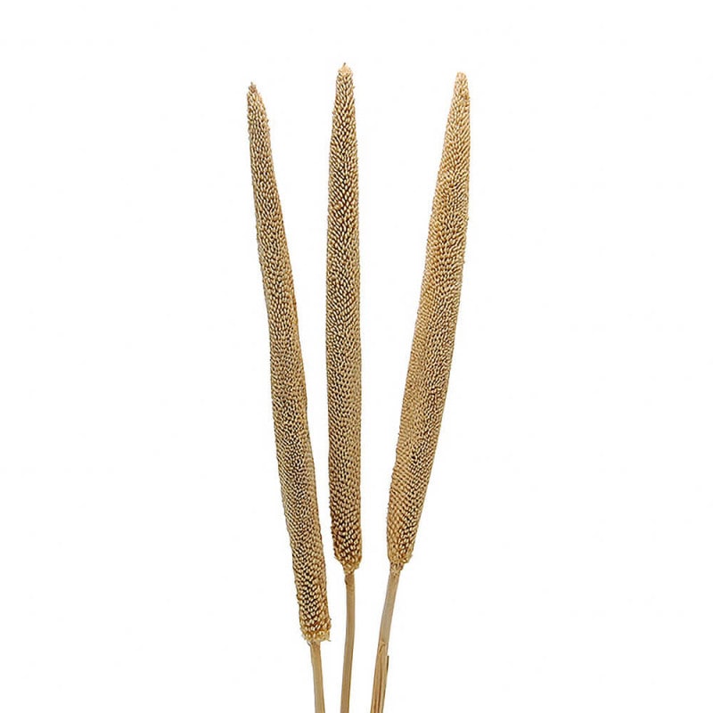 �ХХ顡�ʥ����롡DE010285�ڥɥ饤�ե���