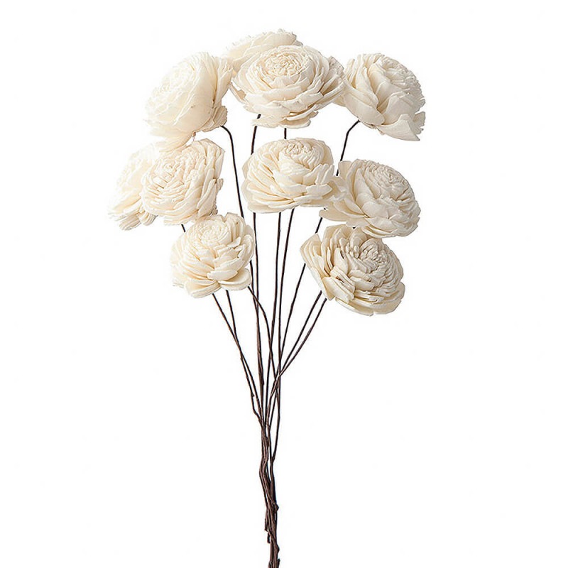 �����顼�������ʾ��ˡ��ۥ磻�ȡ��ϥ�ɥᥤ�ɥե���DO032081-010�ڥɥ饤�ե���