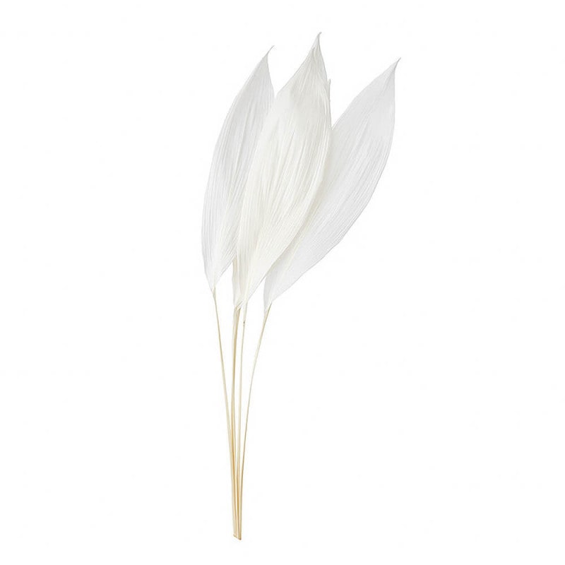 �ϥ�󡡥��եۥ磻�ȡ�DO001010-011�ڥɥ饤�ե���