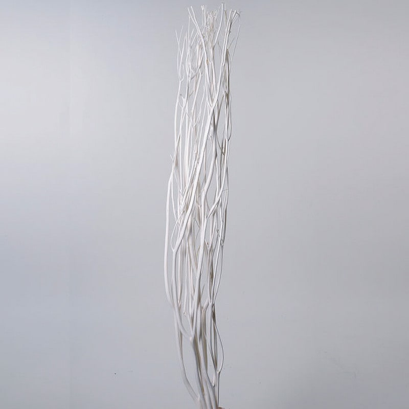 �������ۥ磻�ȡ�DO052371-011�ڥɥ饤�ե���