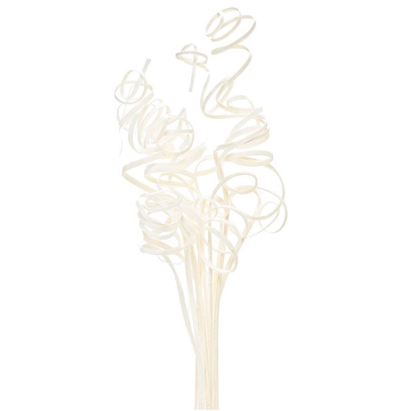 �����󥫡��롡�ۥ磻�ȡ�DO050760-011�ڥɥ饤�ե���