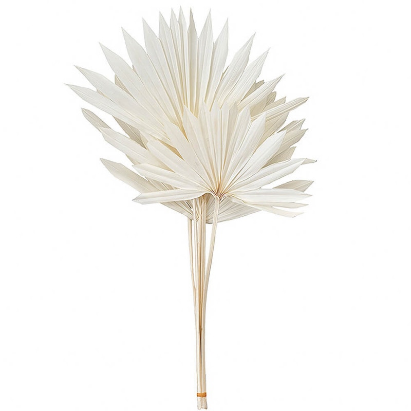 �ѡ��ॵ��꡼�ա����եۥ磻�ȡ�DO054050-011�ڥɥ饤�ե���