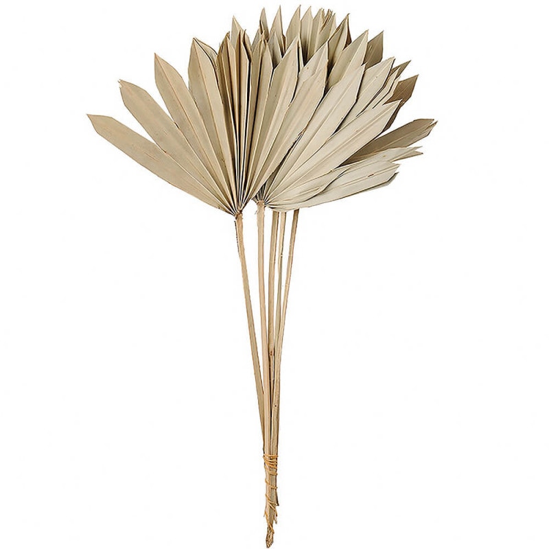 �ѡ��ॵ��꡼�ա��ʥ����롡DO054050-000�ڥɥ饤�ե���