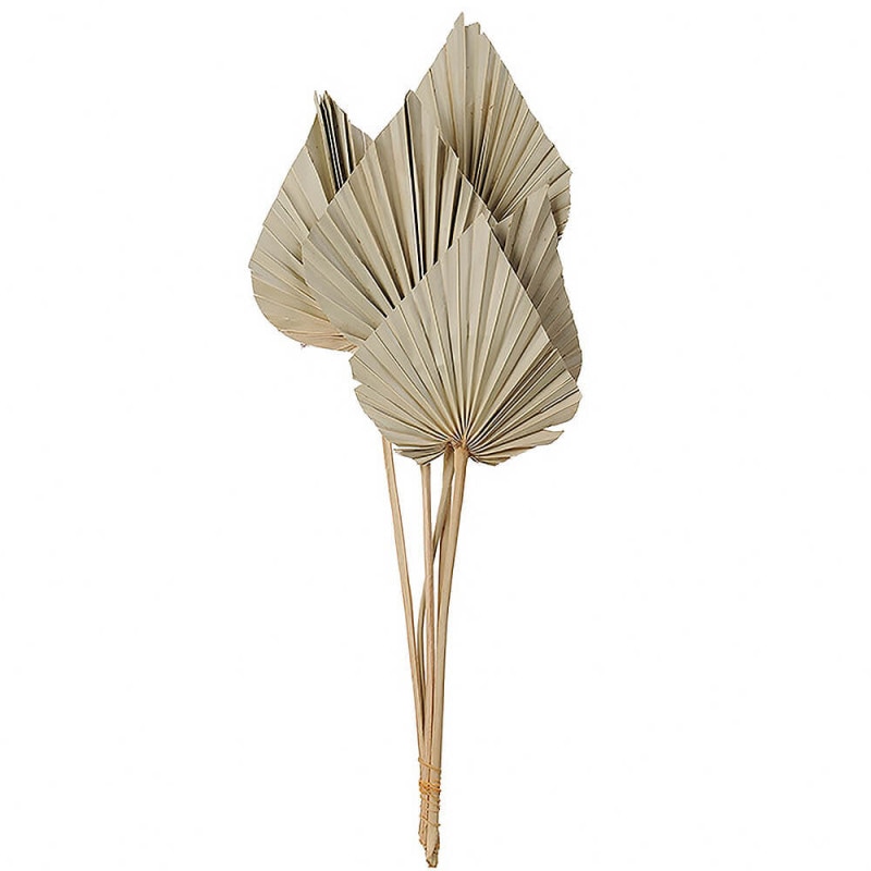 �ѡ��ॹ�ڡ��ɡ��ʥ����롡DO054060-000�ڥɥ饤�ե���