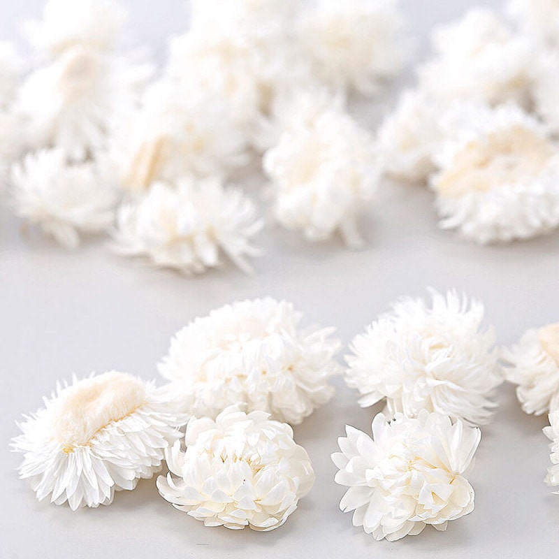 グレビレア・アイバンホー ナチュラル DE017754【ドライフラワー】通販