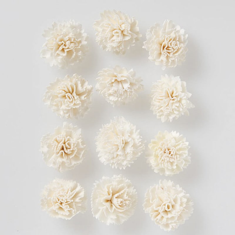 �����顼�ե����󥫡��͡������ʾ���12�ء��ۥ磻�ȡ��ϥ�ɥᥤ�ɥե���DO032761-010�ڥɥ饤�ե���