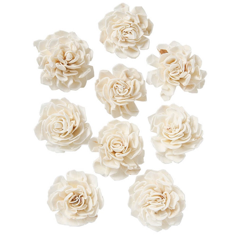 �����顼���ꥢ�إå� �� �ϥ�ɥᥤ�ɥե� 9�� DO032710-010�ڥɥ饤�ե���