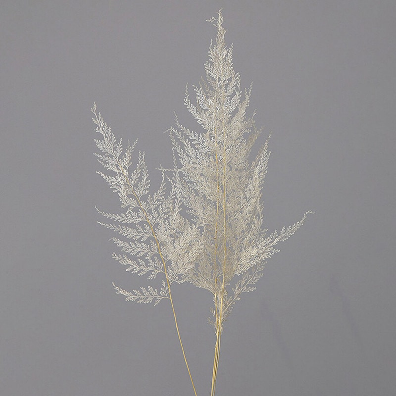 �졼���ե����󡡥ۥ磻�ȡ�DO050350-011�ڥɥ饤�ե���