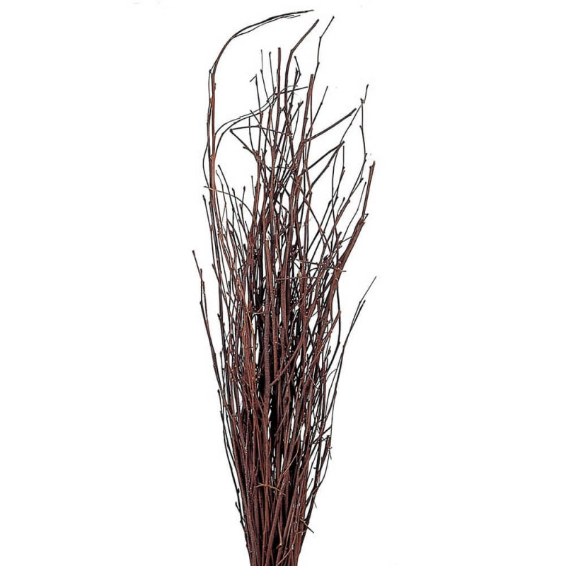 ��򾮻ޡ�70cm���ʥ����롡DO050780-000�ڥɥ饤�ե���