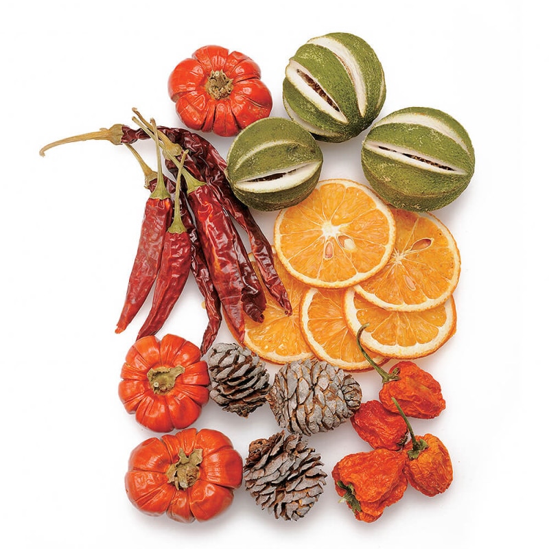 �ߥå����ݥץꡡ�ʥ����롡DO021390-000�ڥɥ饤�ե���