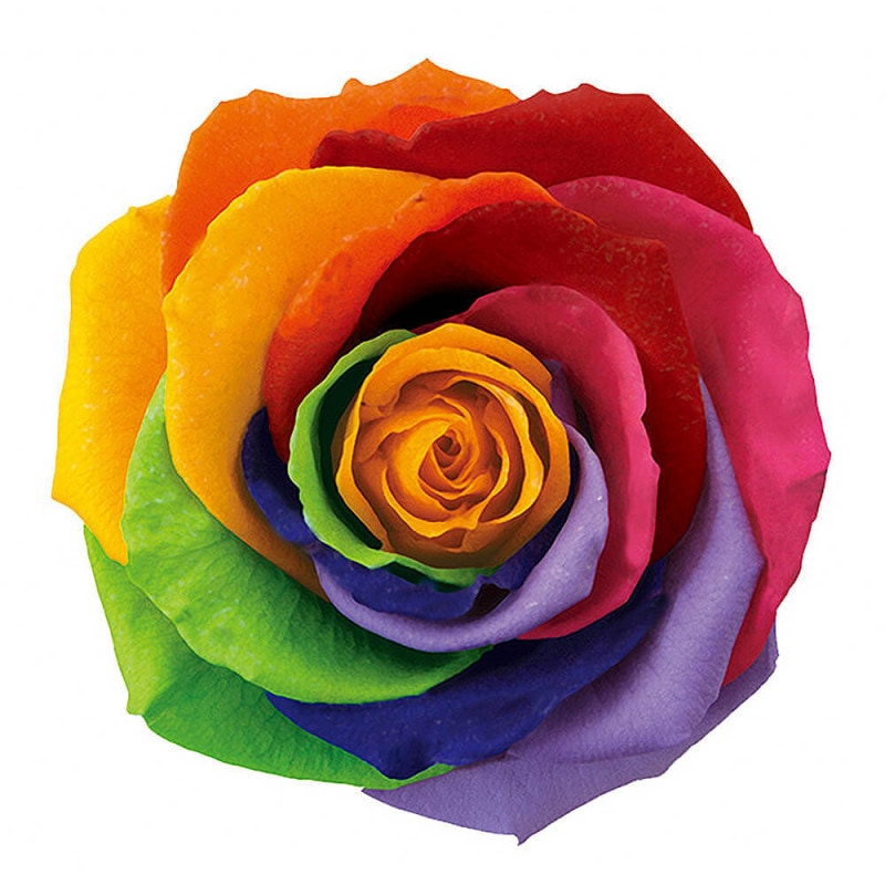 �ƥ�����ȥ쥹�����֥��å���3�ء������������DD001102-077�ڥץꥶ���֥ɥե���