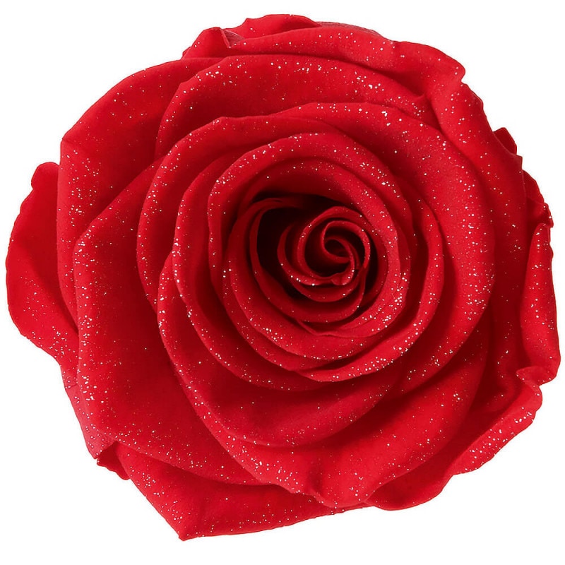 ��������ɥ��������֥饤�ȥ�åɡ�3�ء������������DD001107-030�ڥץꥶ���֥ɥե���