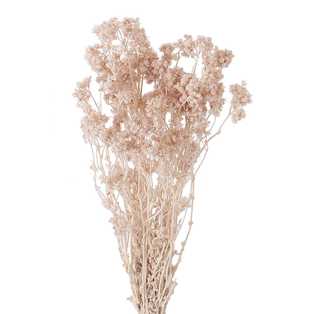 確認用　　ドライフラワー ピンクベージュ束 ドライフラワー花束 M】ピンク系 | flowershop KAIKA
