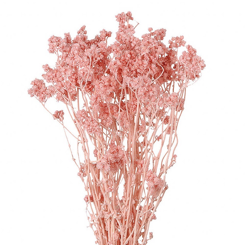 ���ꥹ�ѥࡡ���륭���ԥ󥯡�DO030140-161�ڥɥ饤�ե���