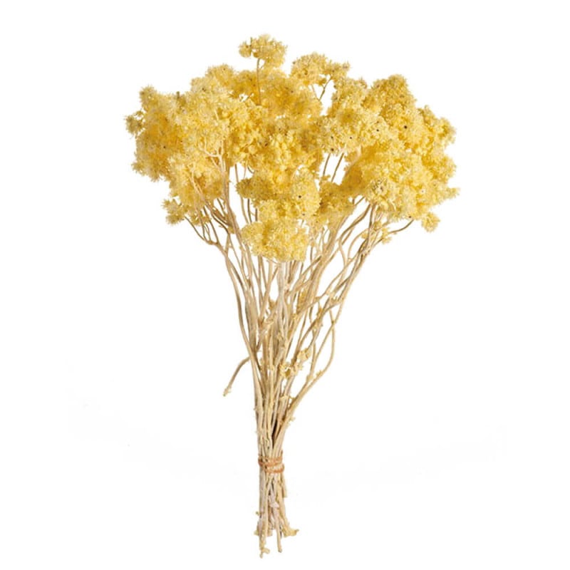 ���ꥹ�ѥࡡ���󥸥��륤��������DO030140-541�ڥɥ饤�ե���