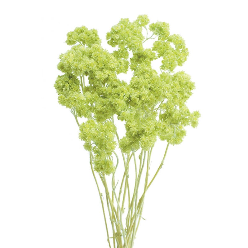 ���ꥹ�ѥࡡ���󥸥��륰�꡼��DO030140-741�ڥɥ饤�ե���