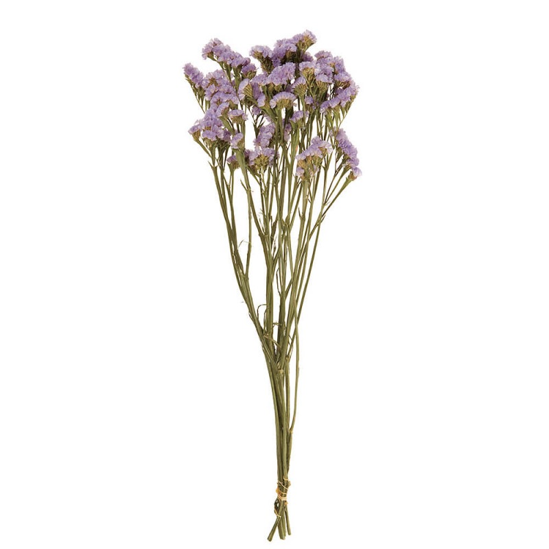 �������������֥롼��FD003034-005�ڥɥ饤�ե���