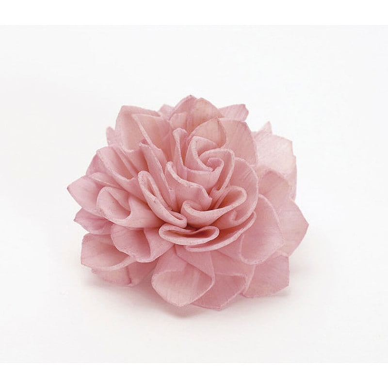 �����顼���ꥢ���إåɡ����ꥹ����ԥ󥯡��ϥ�ɥᥤ�ɥե���9�ء�DO032710-110�ڥɥ饤�ե���