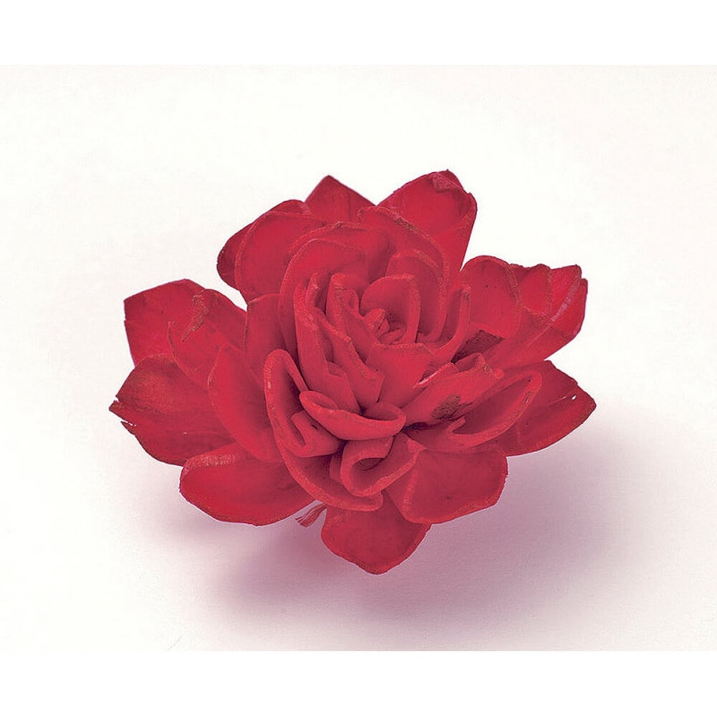 �����顼���ꥢ���إåɡ���åɡ��ϥ�ɥᥤ�ɥե���9�ء�DO032710-300�ڥɥ饤�ե���