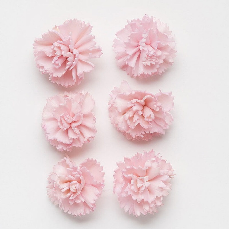 �����顼�ե����󥫡��͡������ʾ���12�ء��ԥ󥯡��ϥ�ɥᥤ�ɥե���DO032761-100�ڥɥ饤�ե���