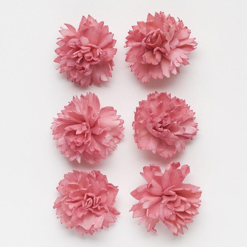 �����顼�ե����󥫡��͡������ʾ���12�ء��ե��ܥ�����ϥ�ɥᥤ�ɥե���DO032761-210�ڥɥ饤�ե���